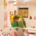 すな