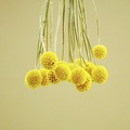 Aromen