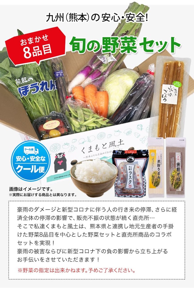 【被災直売所 復興応援】熊本県産 旬の野菜セット