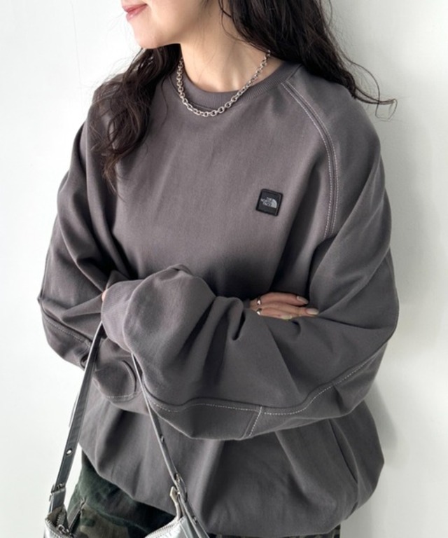 国内未発売 THE NORTH FACE(ザ・ノースフェイス)/ワンポイント ボックスロゴ刺繍 オーバーサイズ スウェット/MINI BOX STITCH SWEATSHIRTS
