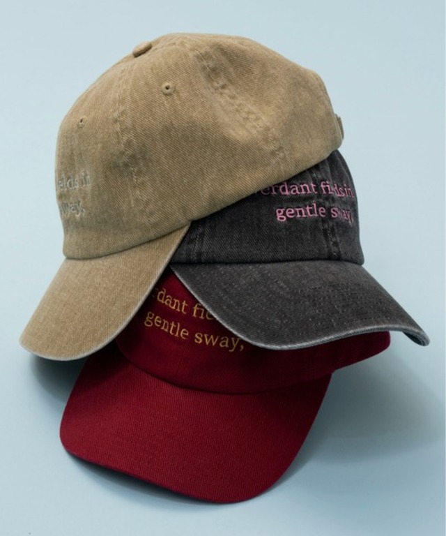 Pigment Cap/ピグメントキャップ【MAISON SPECIAL/メゾンスペシャル】