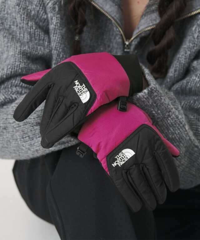 ＜THE NORTH FACE＞ヌプシ イーチップ グローブ