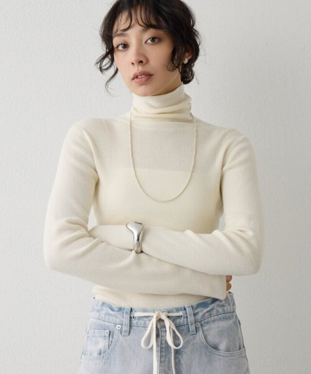 ソフトRIBタートル