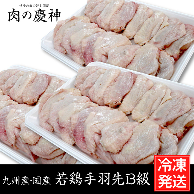 【九州産・国産】若鶏手羽先B級品約1.5kg