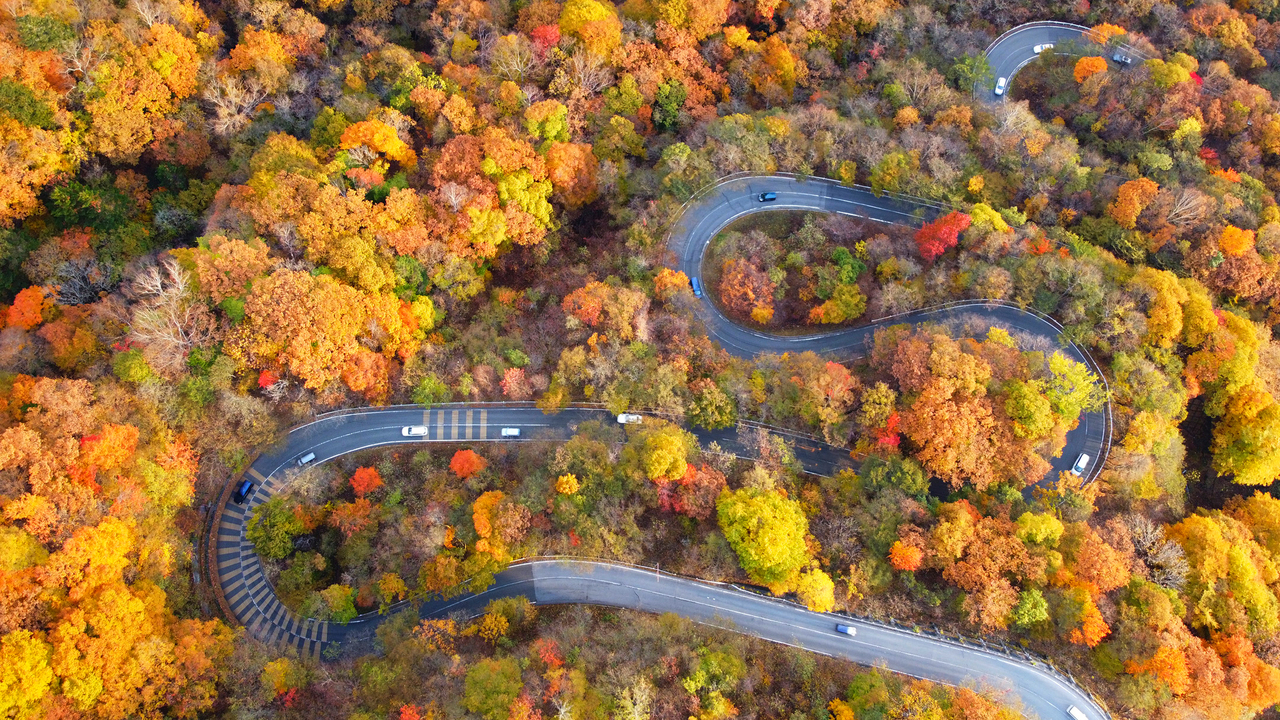 紅葉とカーブが続くいろは坂