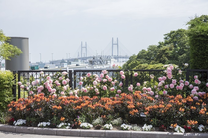 photo：ガーデンネックレス横浜