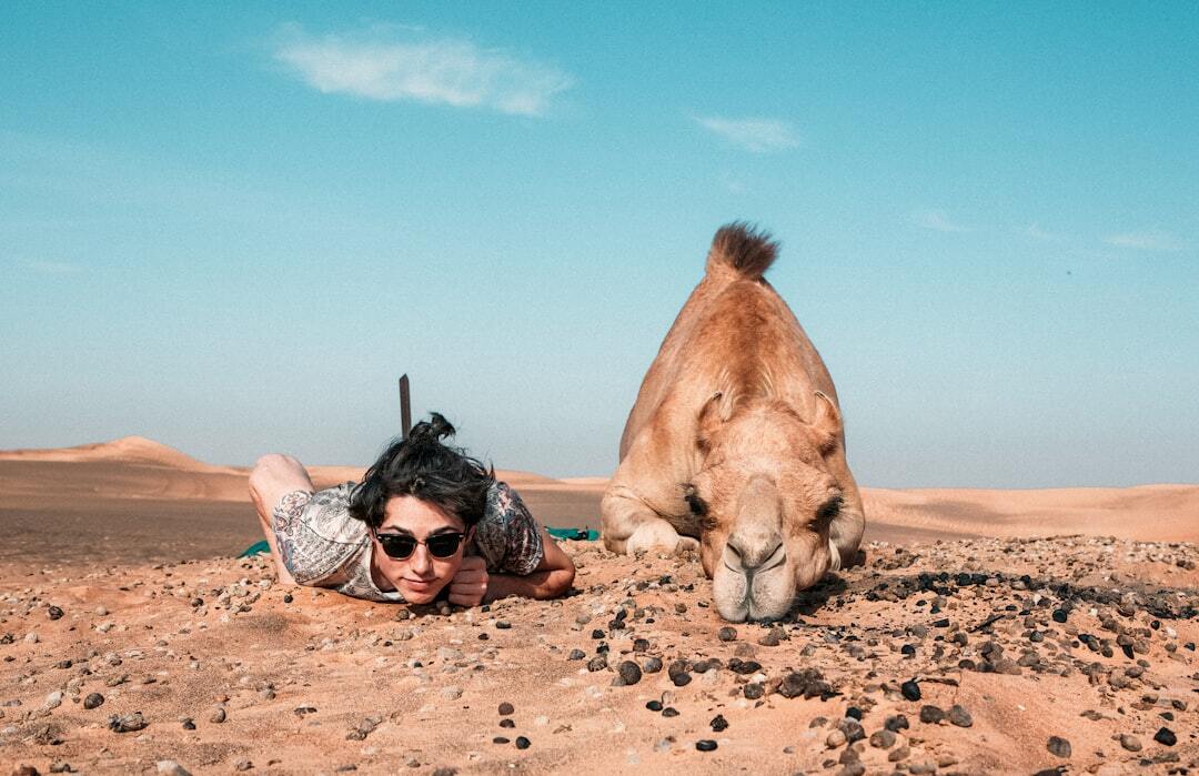 Photo by Atlas Green / Unsplash