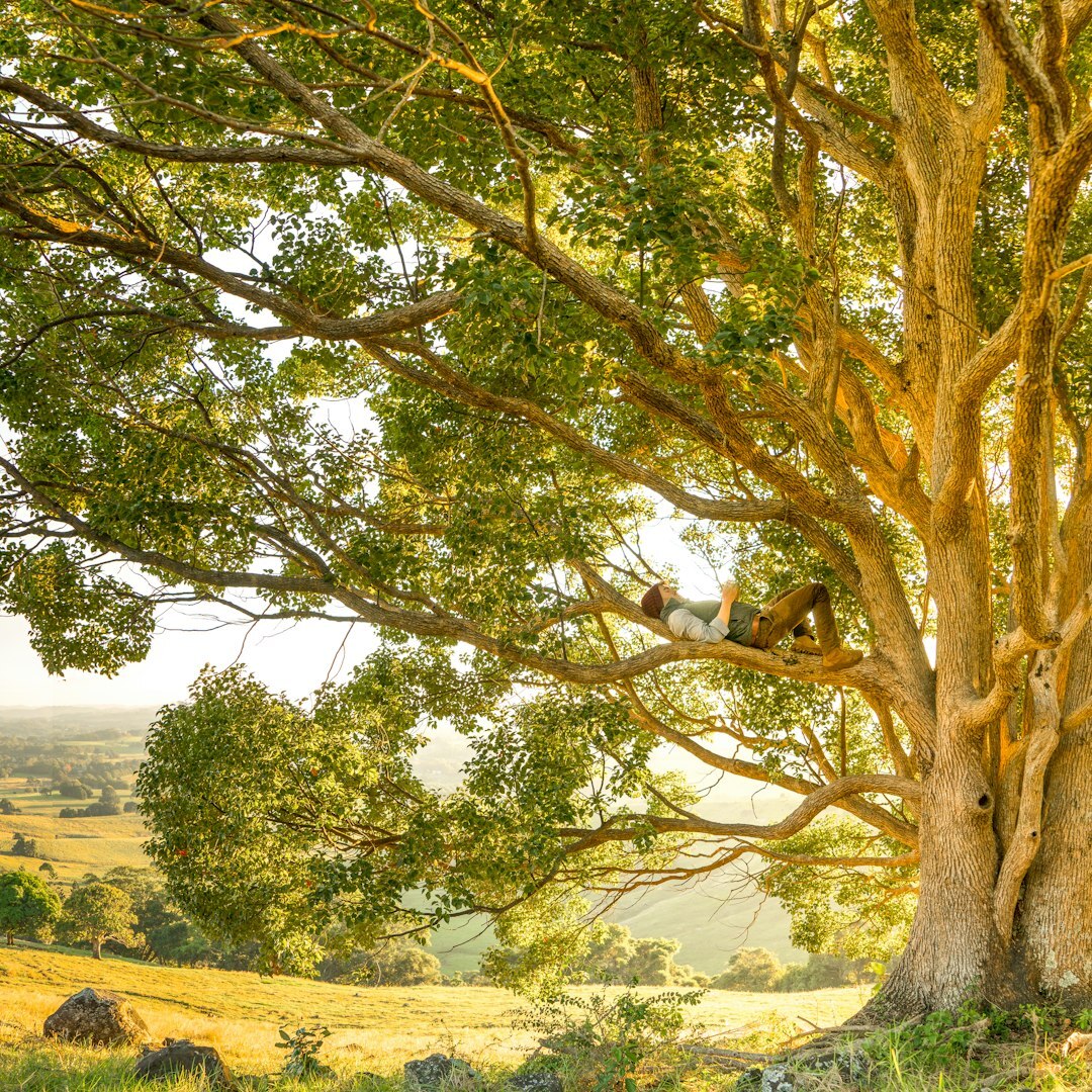 Photo by Rob Mulally / Unsplash