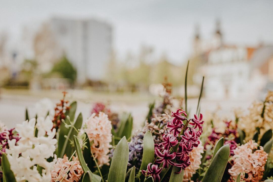 Photo by Trnava University / Unsplash