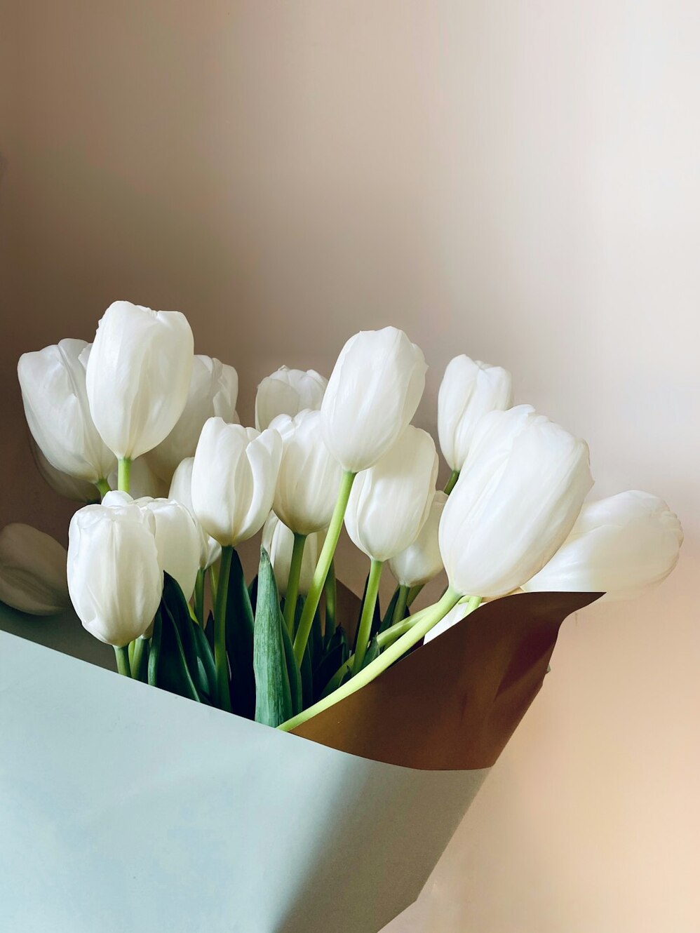 Photo by Loredana Filip / Unsplash