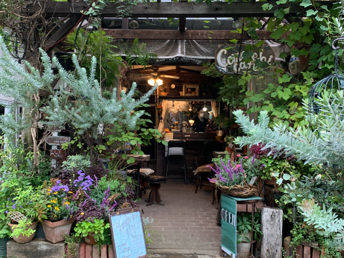 photo：Comorebi café