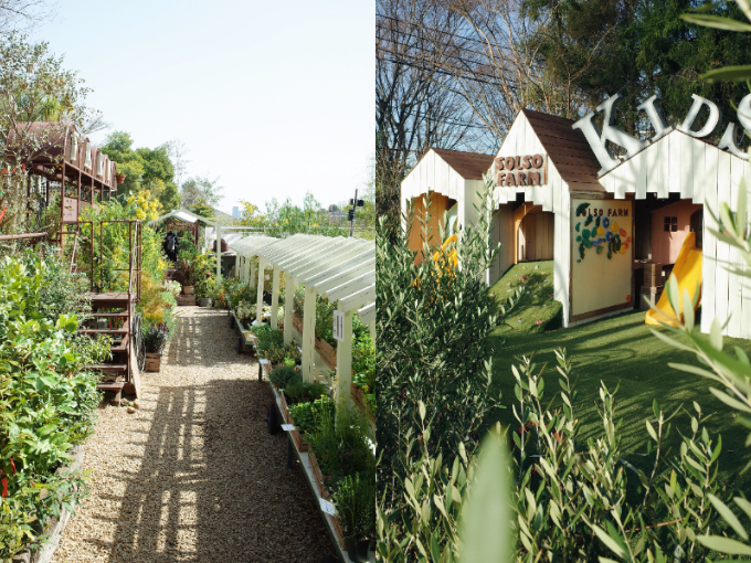 photo：SOLSO FARM