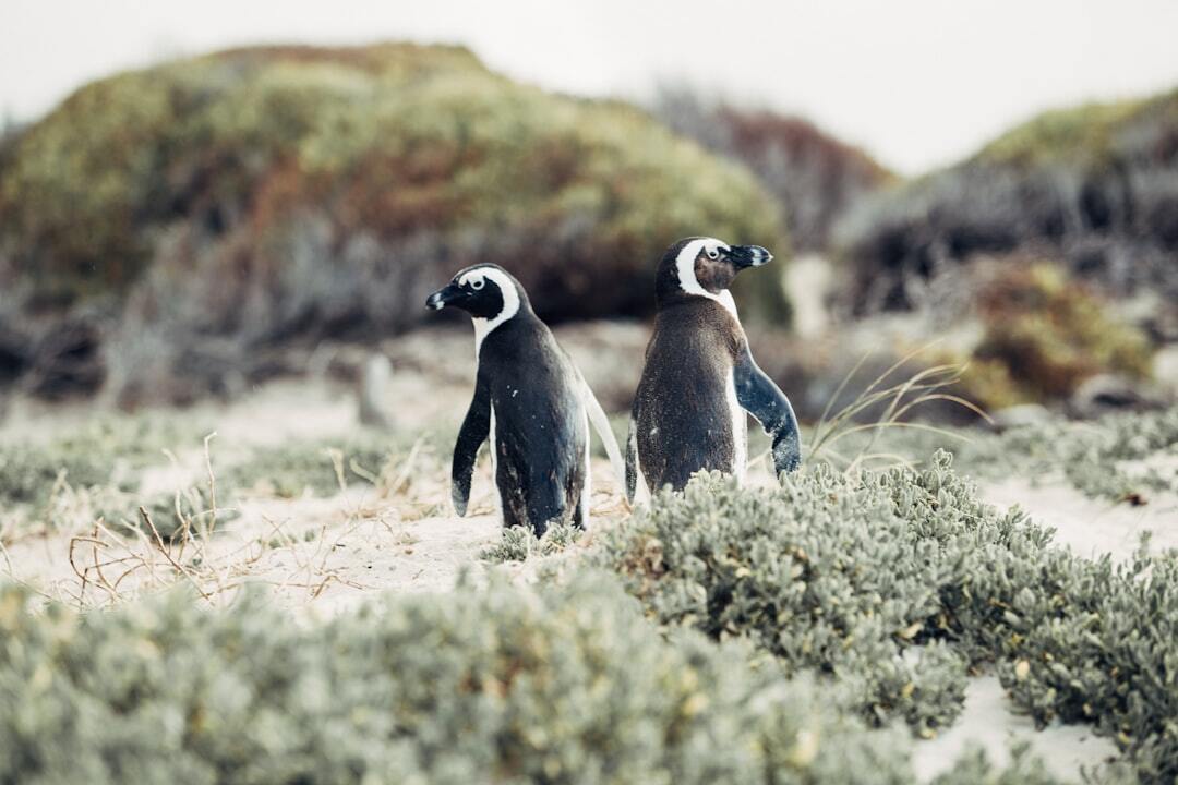 Photo by Cara Fuller / Unsplash