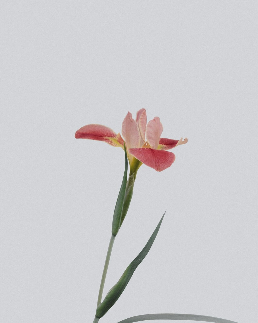 Photo by Han Chenxu / Unsplash