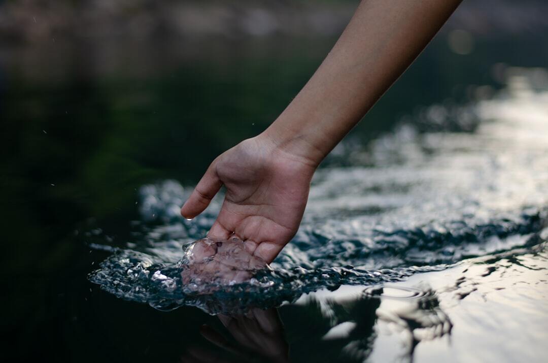 Photo by Ritvik Singh / Unsplash