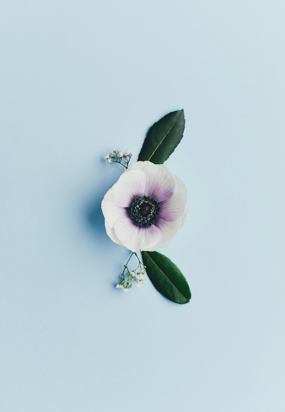 Photo by Annie Spratt / Unsplash