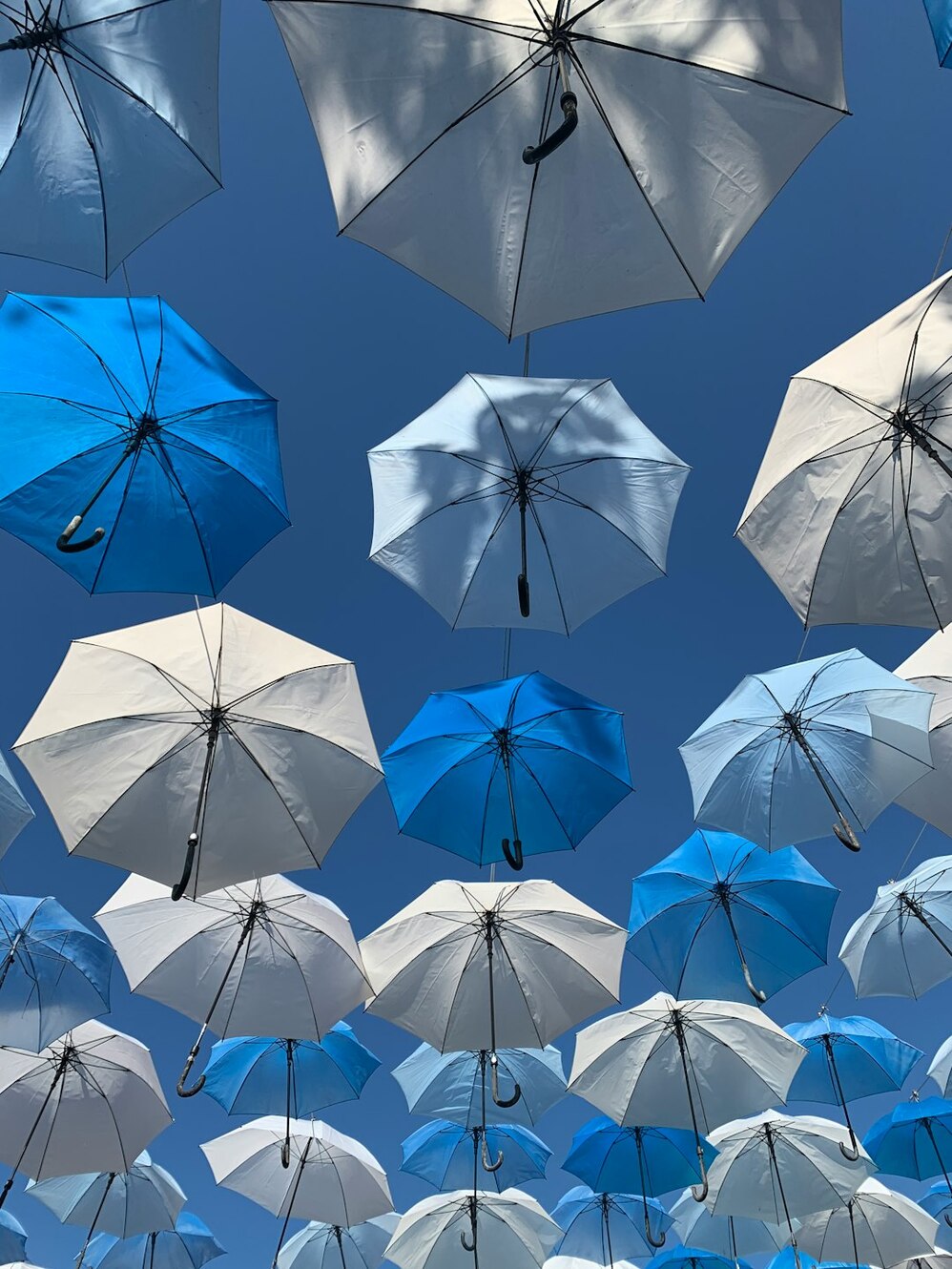 Photo by Nayeli Leal / Unsplash