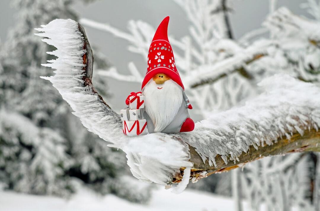 Photo by Ilona Frey / Unsplash