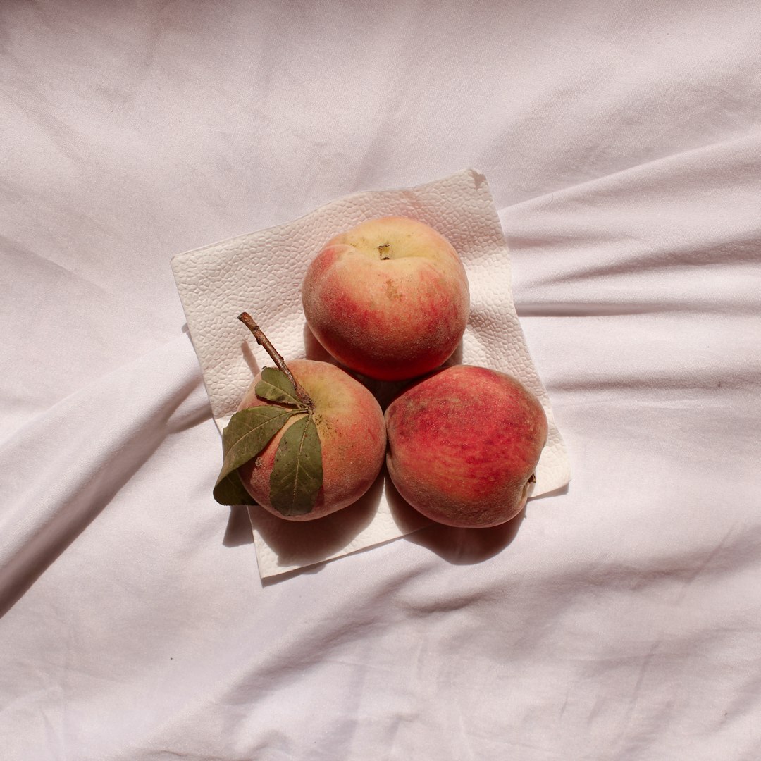 Photo by rania bdn / Unsplash