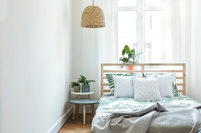 photo：Shutterstock