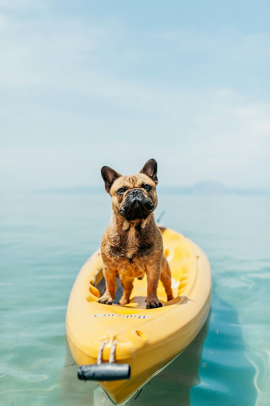 Photo by Angelo Pantazis / Unsplash