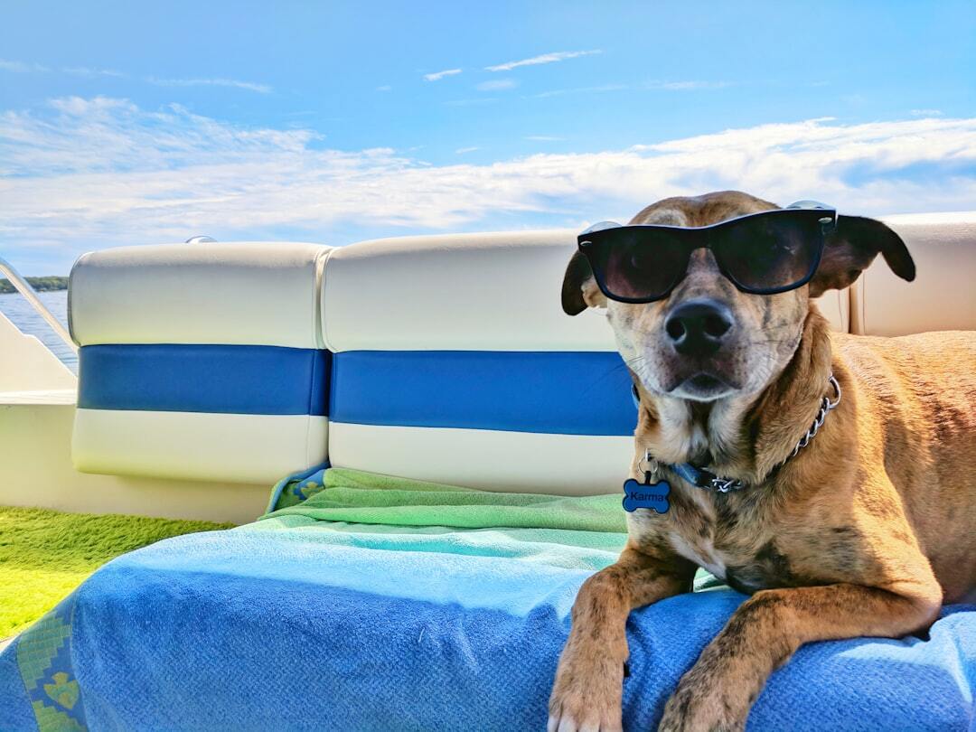 Photo by Josh Rakower / Unsplash