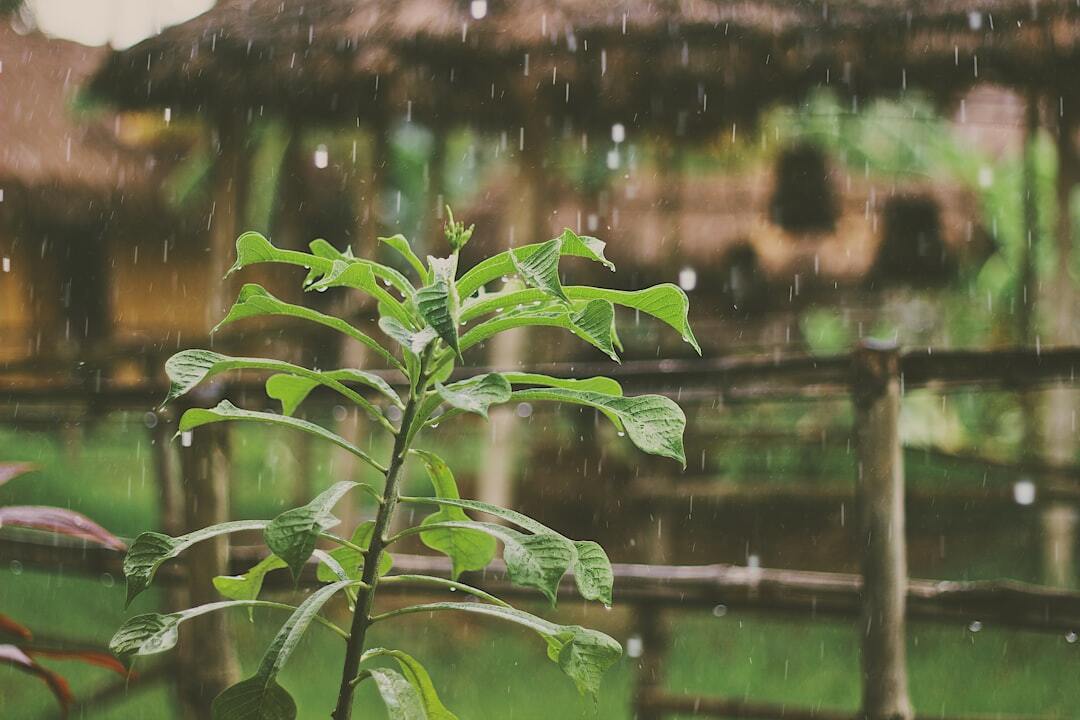 Photo by Mike Kotsch / Unsplash