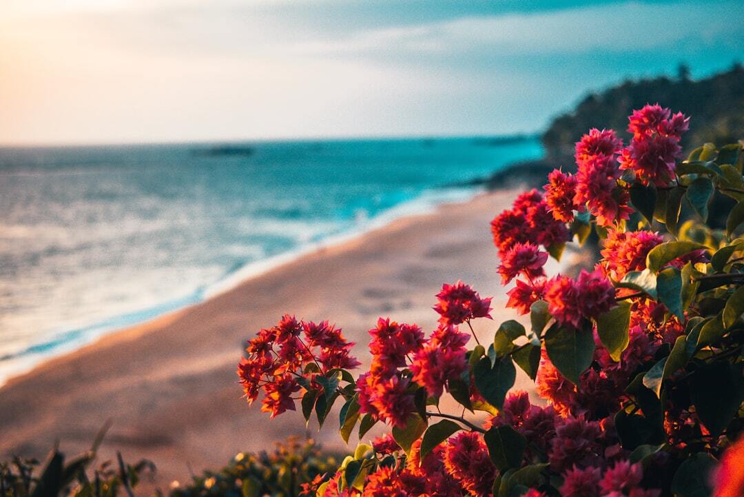 Photo by Raimond Klavins / Unsplash