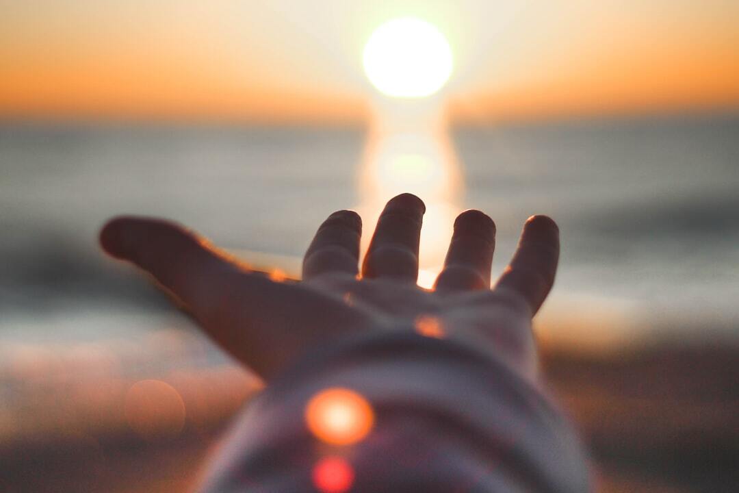 Photo by Todd Rhines / Unsplash