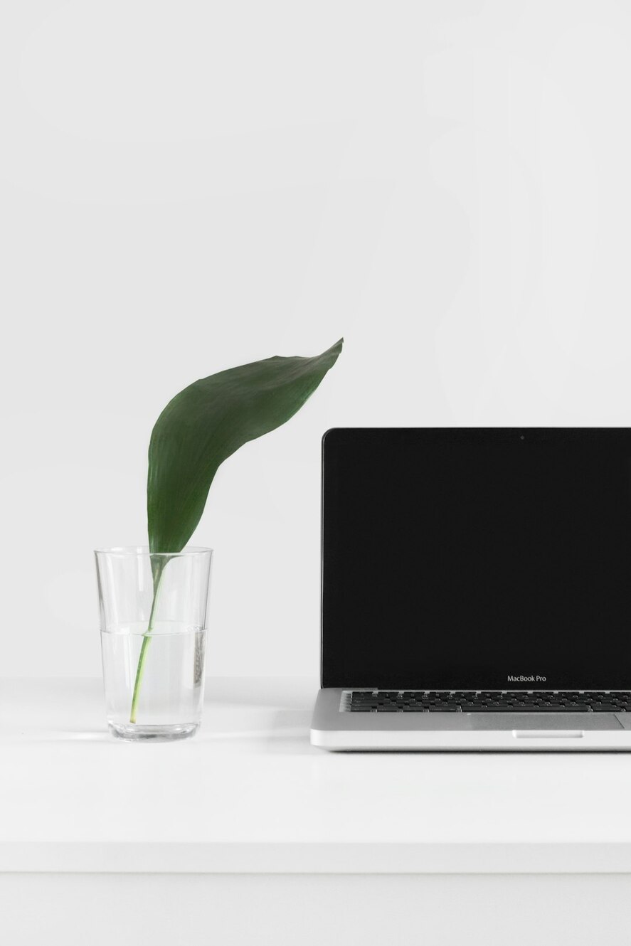 Photo by Sarah Dorweiler / Unsplash