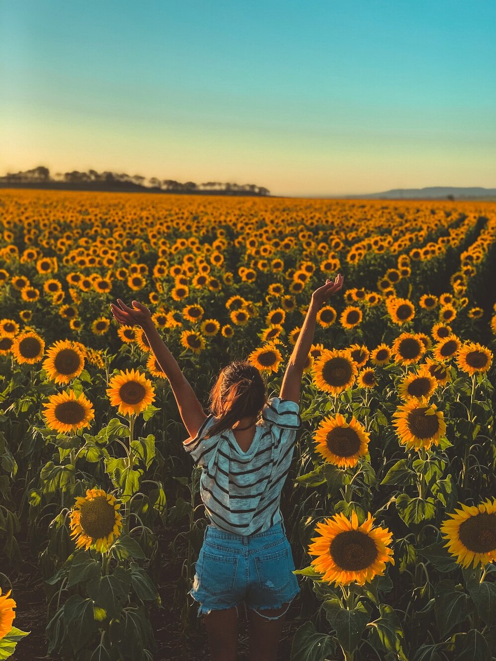 Photo by Carles Rabada / Unsplash