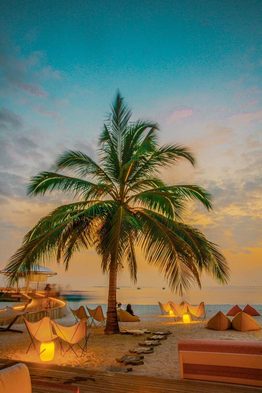 Photo by Rayyu Maldives / Unsplash