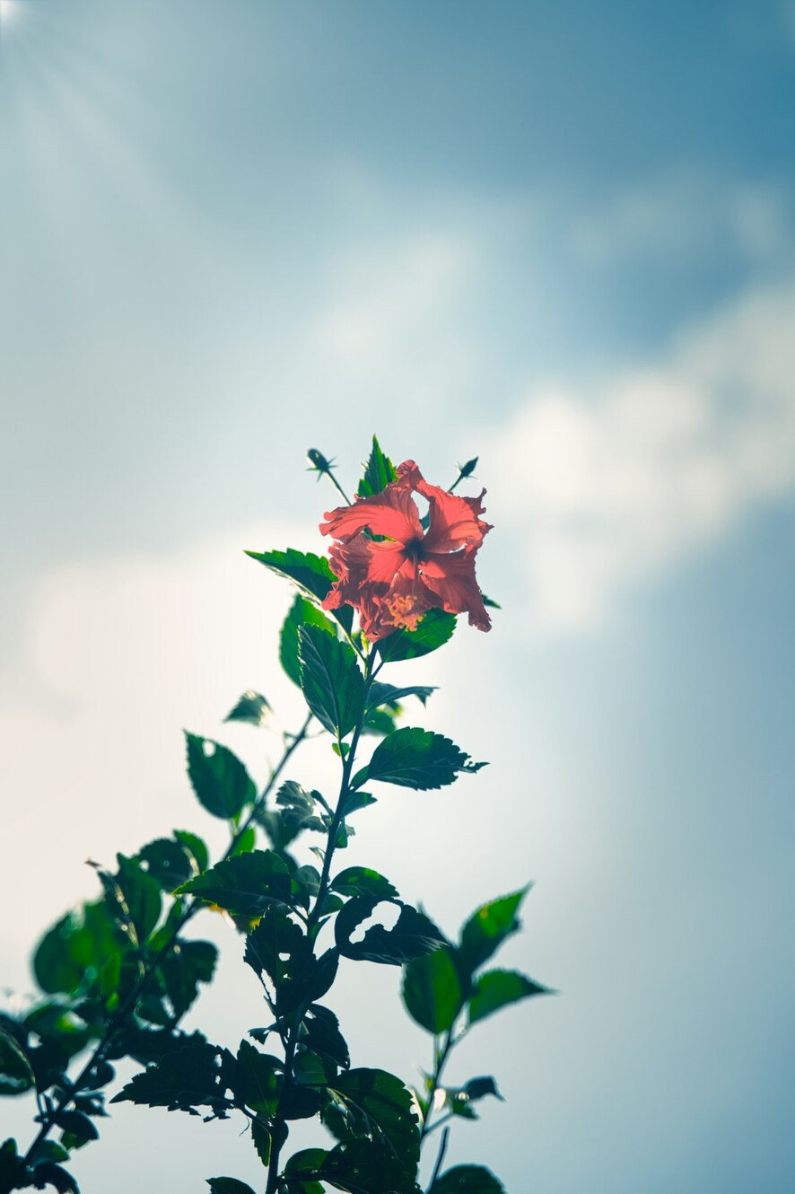 Photo by Yoshihiro / Unsplash