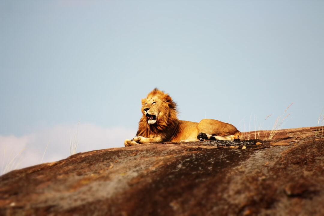 Photo by Mike Holford / Unsplash