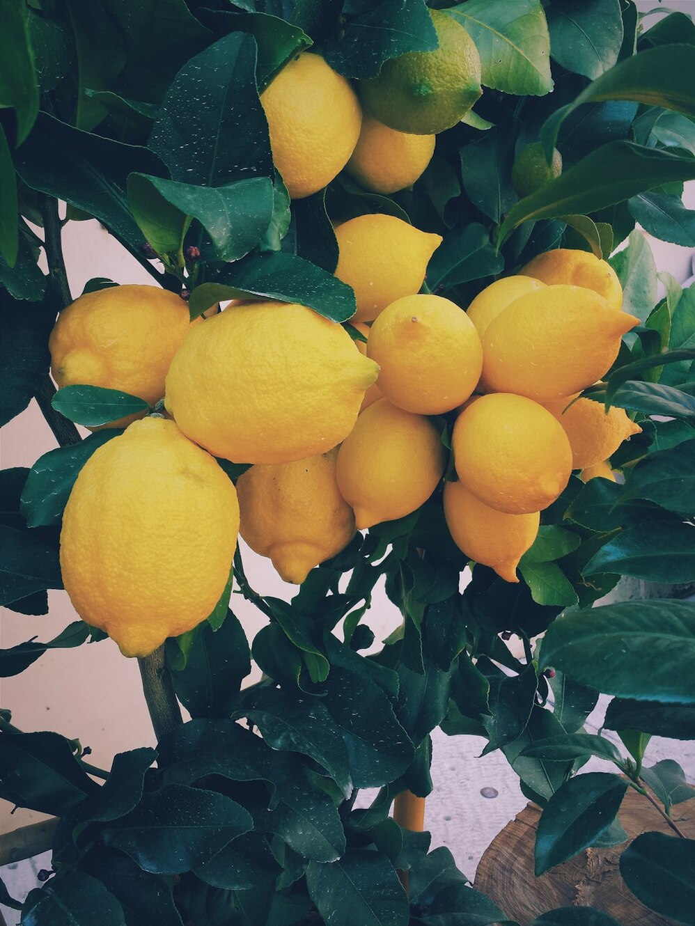 Photo by Ernest Porzi / Unsplash