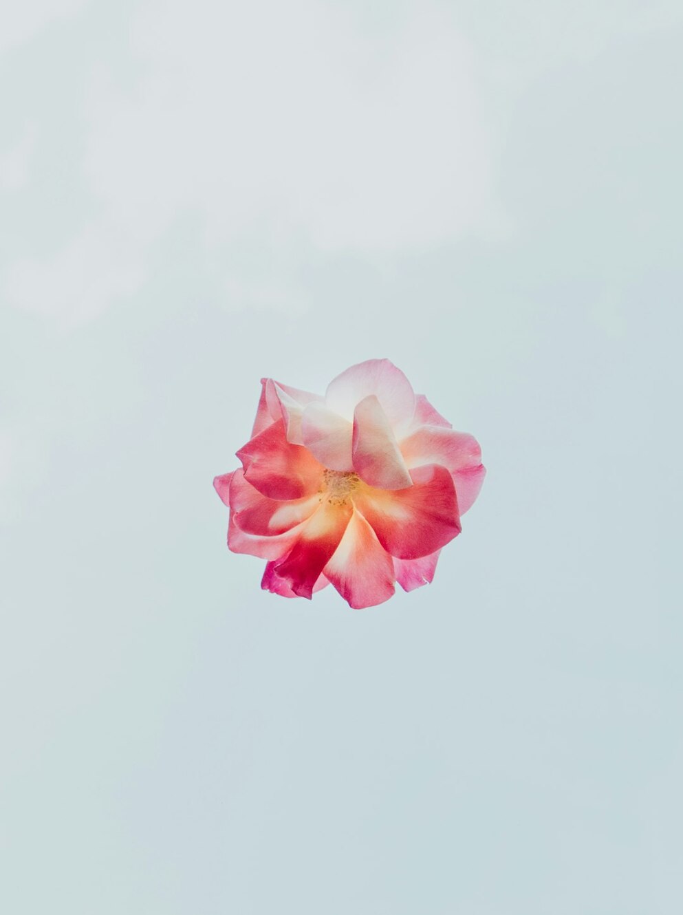 Photo by Evie S. / Unsplash
