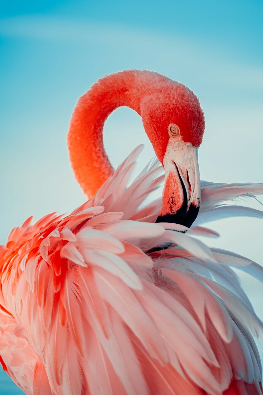 Photo by Edrick Krozendijk / Unsplash