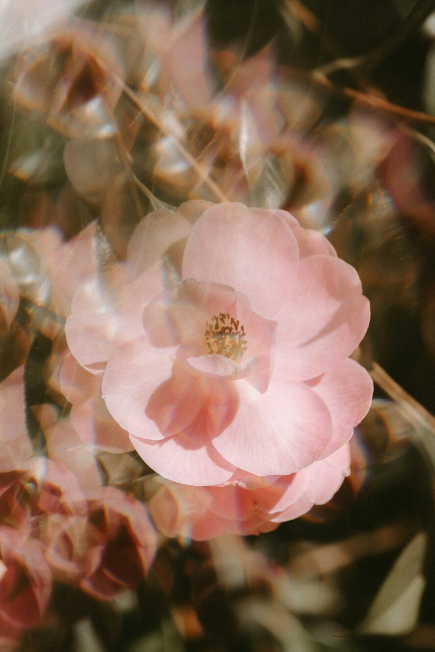 Photo by Annie Spratt / Unsplash
