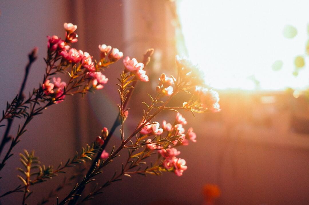 Photo by Chi Pham / Unsplash
