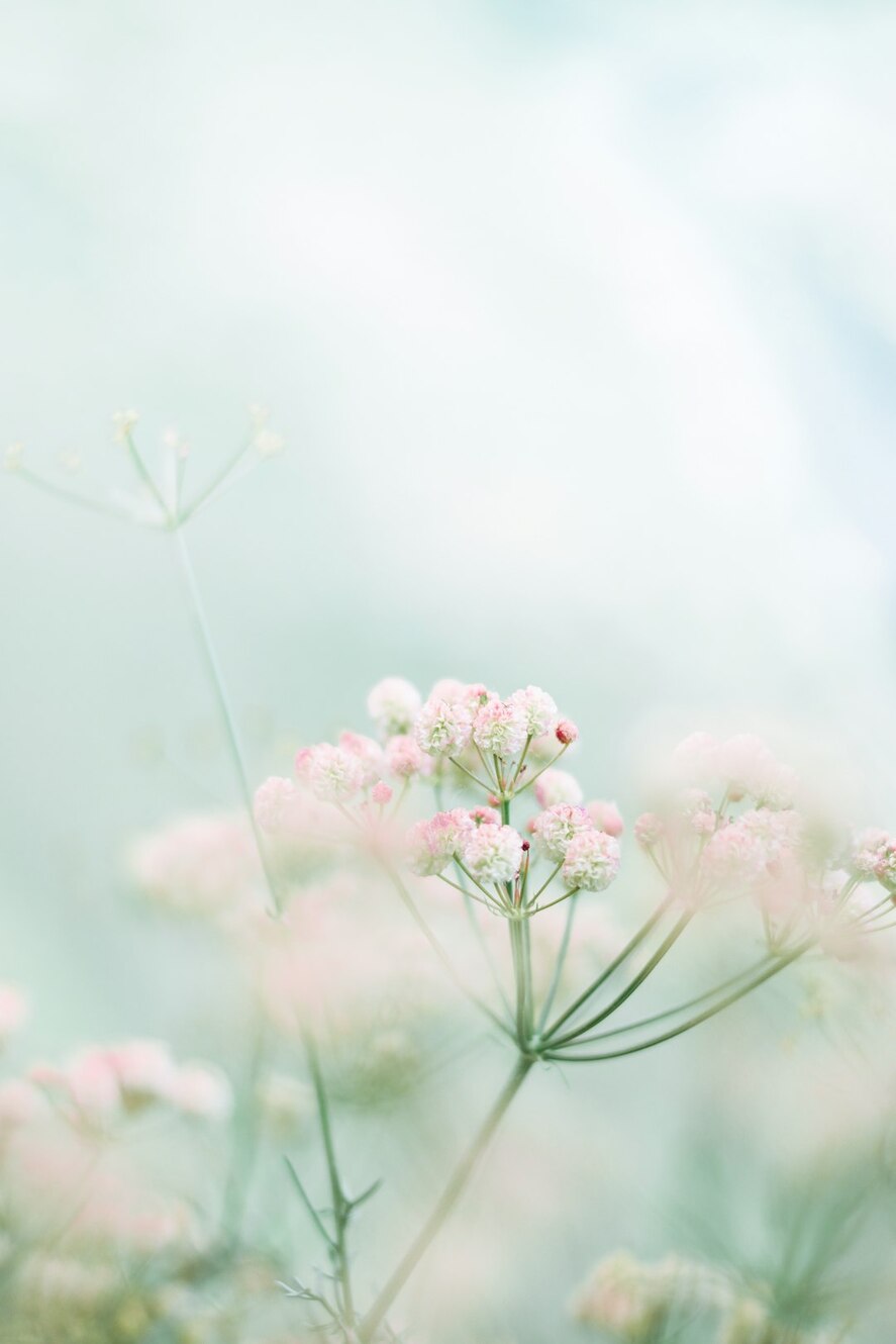 Photo by Foad Roshan / Unsplash