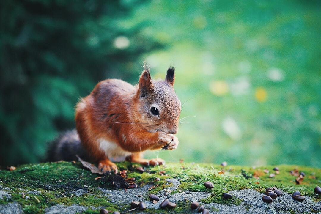 Photo by Uljana Borodina / Unsplash