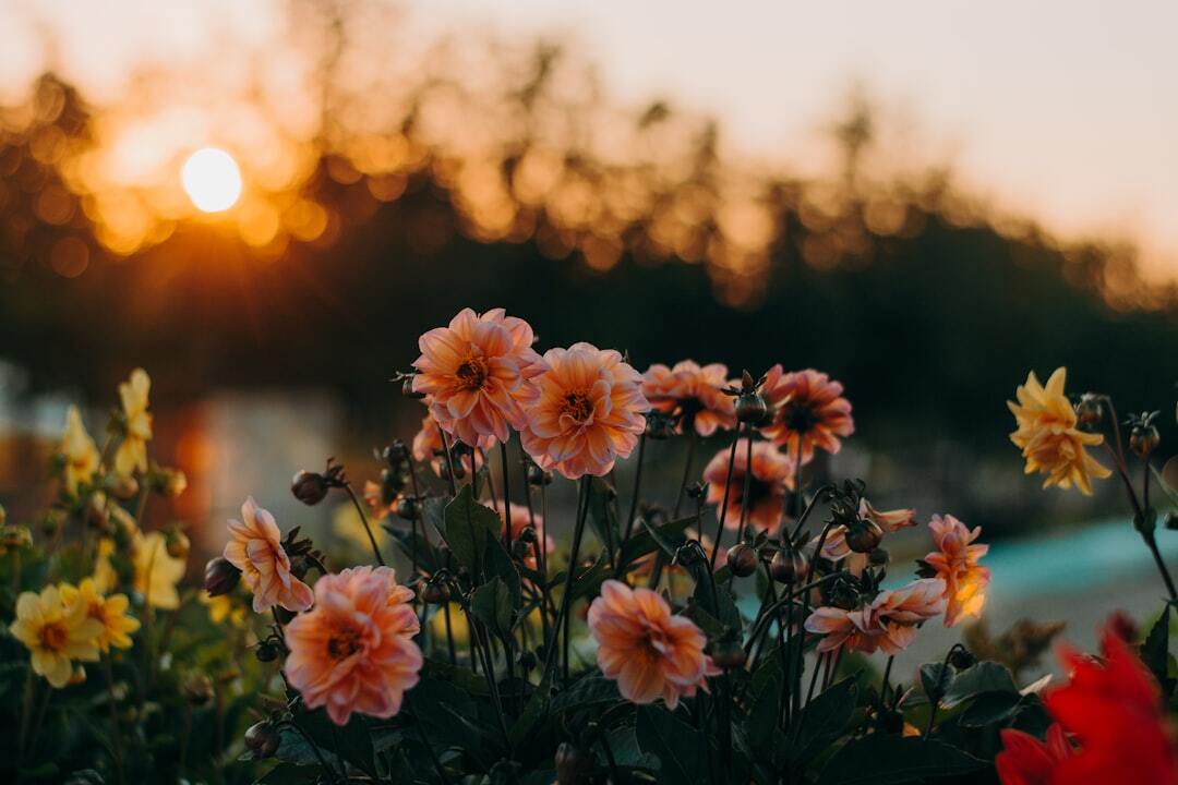 Photo by Irina Iriser / Unsplash