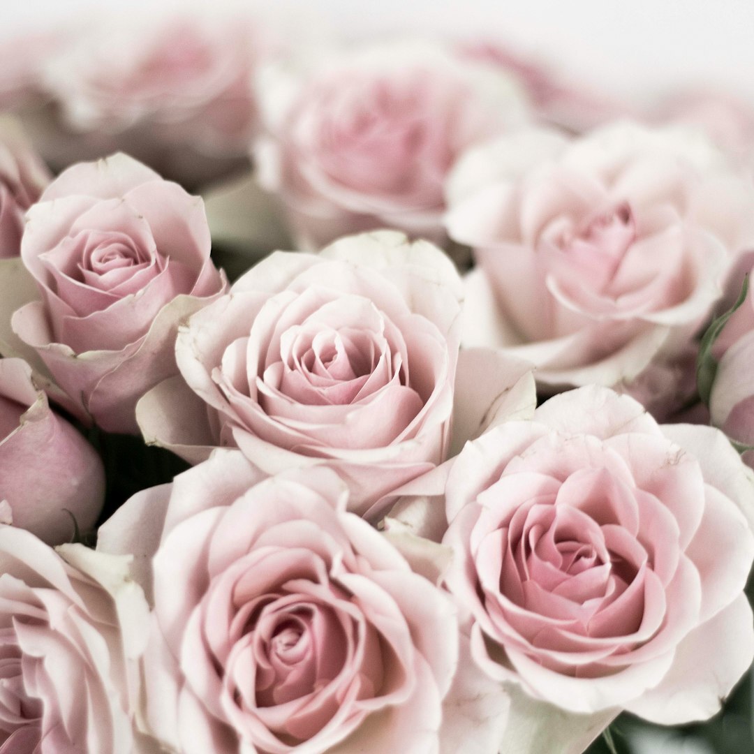 Photo by Johanne Pold Jacobsen / Unsplash