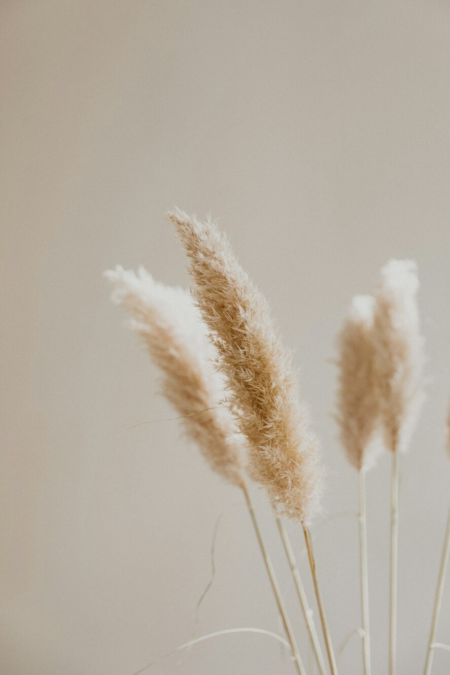 Photo by Patrick Langwallner / Unsplash