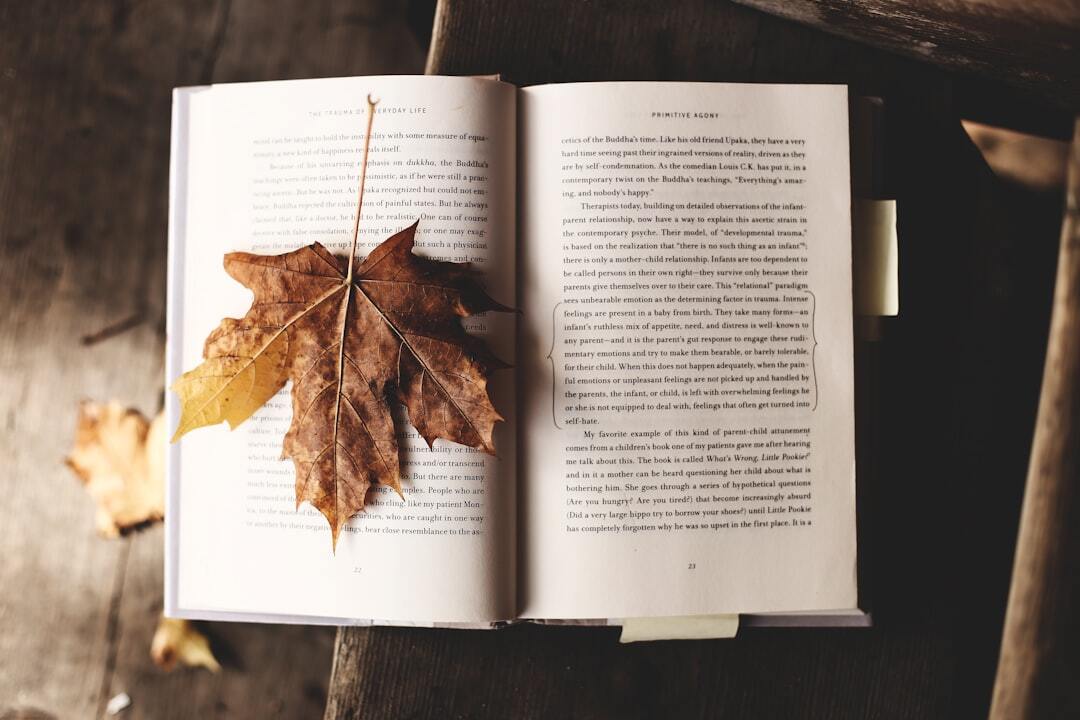 Photo by Ksenia Makagonova / Unsplash