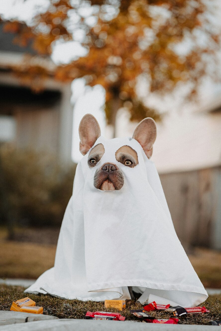 Photo by Karsten Winegeart / Unsplash