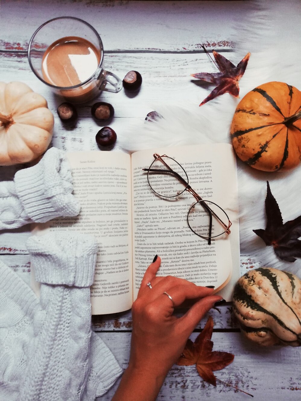 Photo by Jelena Pajovic / Unsplash