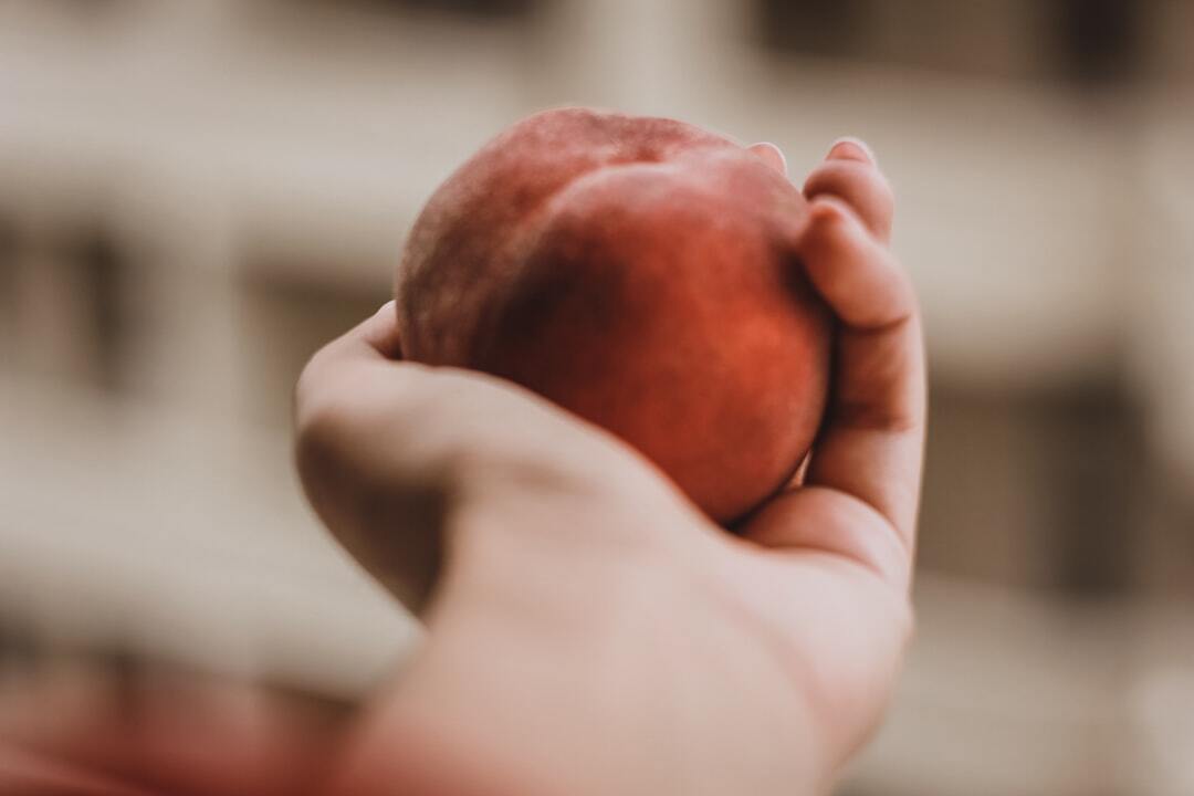 Photo by Lala Azizli / Unsplash