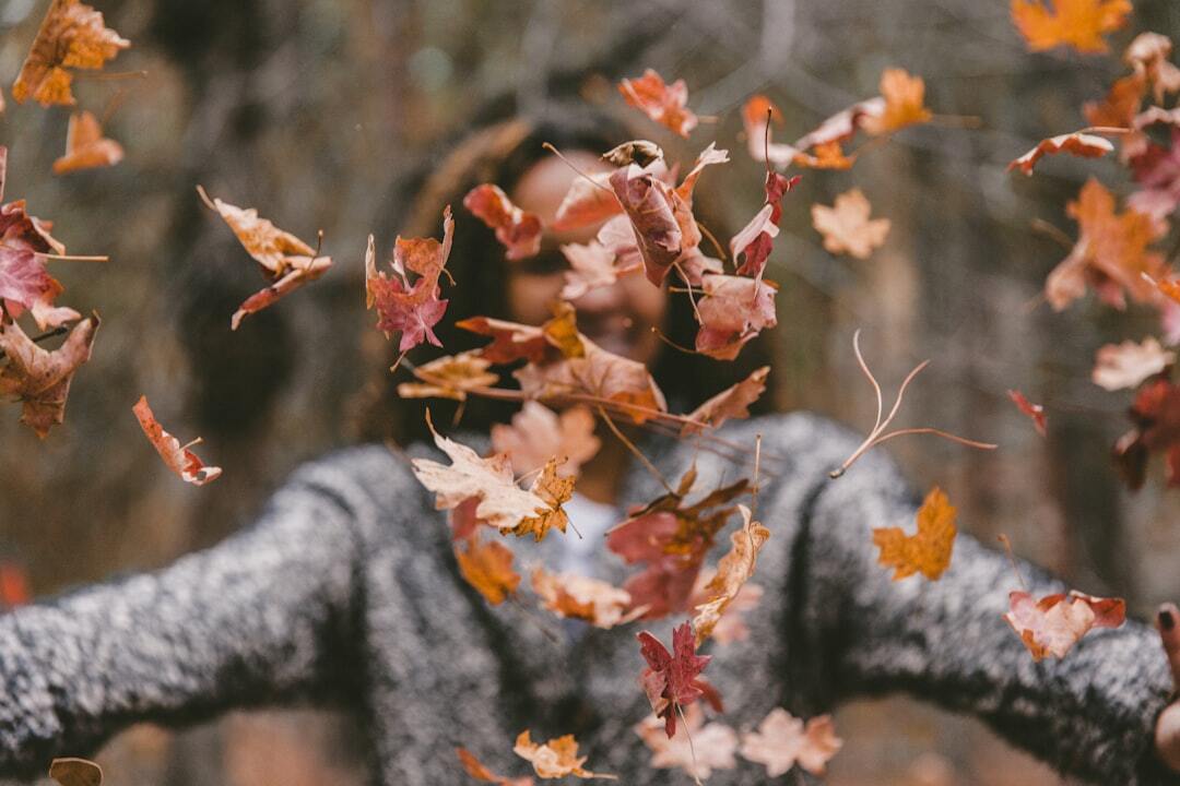 Photo by Jakob Owens / Unsplash