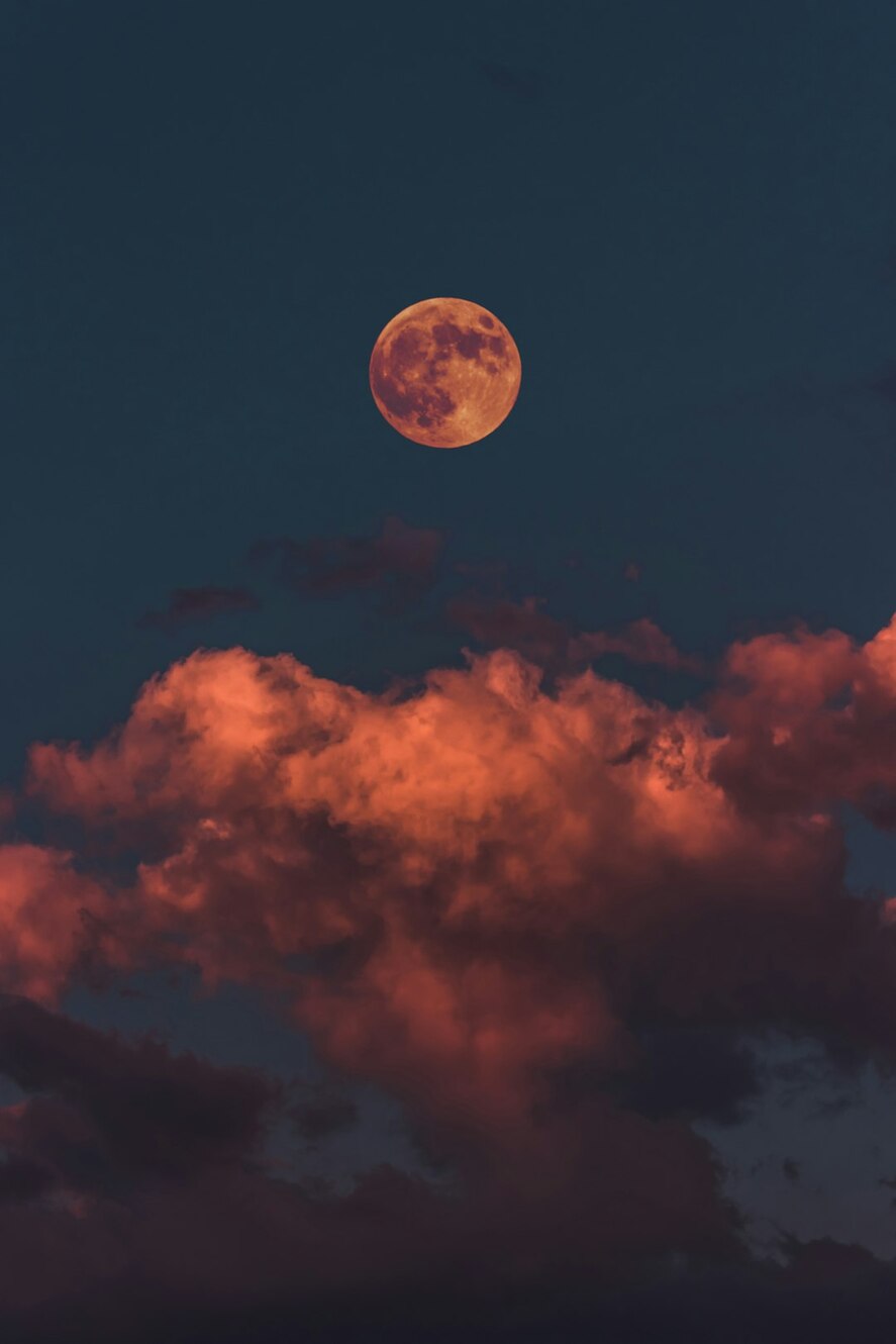Photo by Altınay Dinç / Unsplash